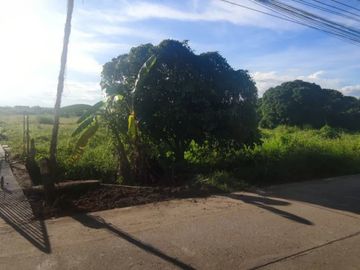 Land for sale, 5500 baht per square wa, behind Diya Valley Super, 5 rai 89.8 square wa, next to 2 sides of the road