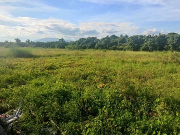 Land for sale, 5500 baht per square wa, behind Diya Valley Super, 5 rai 89.8 square wa, next to 2 sides of the road