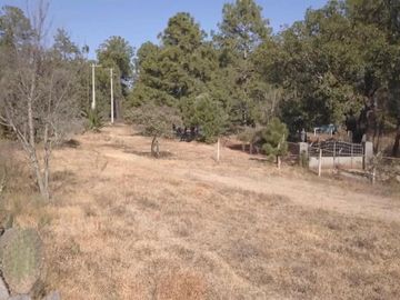 Lote en Propiedad Sobre Carretera, Huasca de Ocampo, Hgo