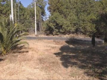 Lote en Propiedad Sobre Carretera, Huasca de Ocampo, Hgo
