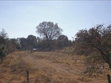 Lote en Propiedad Sobre Carretera, Huasca de Ocampo, Hgo