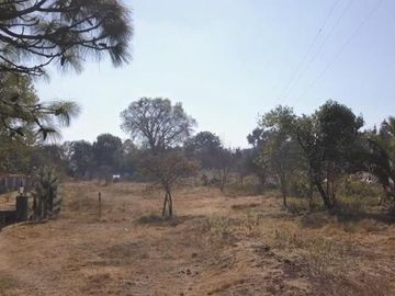 Lote en Propiedad Sobre Carretera, Huasca de Ocampo, Hgo