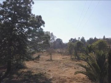 Lote en Propiedad Sobre Carretera, Huasca de Ocampo, Hgo