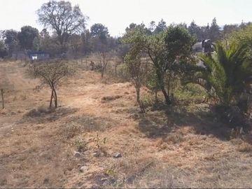 Lote en Propiedad Sobre Carretera, Huasca de Ocampo, Hgo