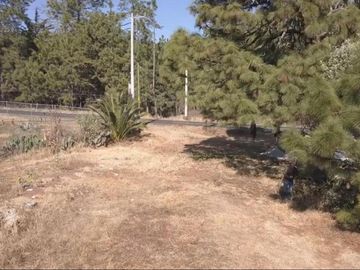 Lote en Propiedad Sobre Carretera, Huasca de Ocampo, Hgo