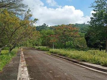 294 sqm Residential Lot for Sale in Palo- Alto Executive Village, Rizal