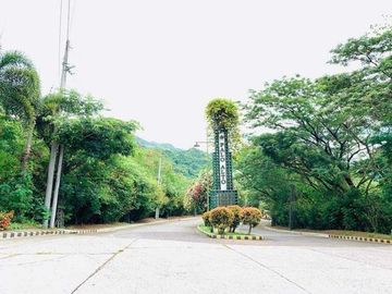 294 sqm Residential Lot for Sale in Palo- Alto Executive Village, Rizal