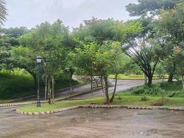 294 sqm Residential Lot for Sale in Palo- Alto Executive Village, Rizal