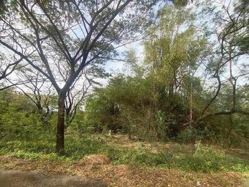 294 sqm Residential Lot for Sale in Palo- Alto Executive Village, Rizal