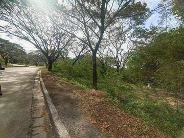 294 sqm Residential Lot for Sale in Palo- Alto Executive Village, Rizal