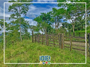 Se vende: Finca Agricola/Ganadera, Ubicada en TURRIAGA, del Cantón 
