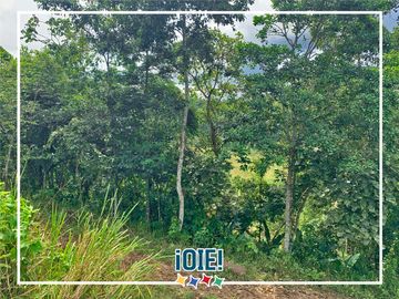 Se vende: Finca Agricola/Ganadera, Ubicada en TURRIAGA, del Cantón 