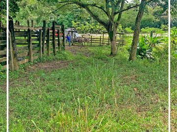 Se vende: Finca Agricola/Ganadera, Ubicada en TURRIAGA, del Cantón 