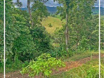 Se vende: Finca Agricola/Ganadera, Ubicada en TURRIAGA, del Cantón 