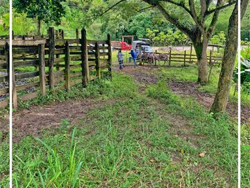 Se vende: Finca Agricola/Ganadera, Ubicada en TURRIAGA, del Cantón 