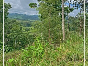 Se vende: Finca Agricola/Ganadera, Ubicada en TURRIAGA, del Cantón 
