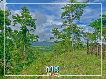 Se vende: Finca Agricola/Ganadera, Ubicada en TURRIAGA, del Cantón 