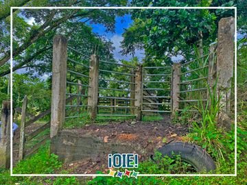 Se vende: Finca Agricola/Ganadera, Ubicada en TURRIAGA, del Cantón 