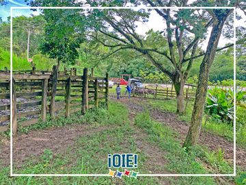Se vende: Finca Agricola/Ganadera, Ubicada en TURRIAGA, del Cantón 