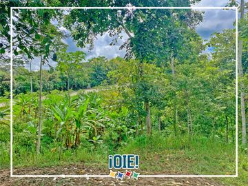 Se vende: Finca Agricola/Ganadera, Ubicada en TURRIAGA, del Cantón 