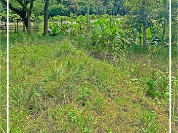 Se vende: Finca Agricola/Ganadera, Ubicada en TURRIAGA, del Cantón 
