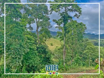 Se vende: Finca Agricola/Ganadera, Ubicada en TURRIAGA, del Cantón 