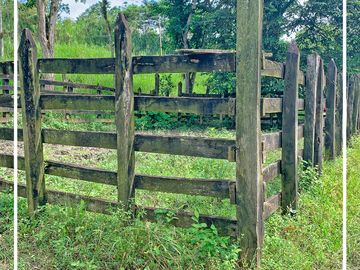 Se vende: Finca Agricola/Ganadera, Ubicada en TURRIAGA, del Cantón 