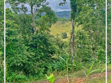 Se vende: Finca Agricola/Ganadera, Ubicada en TURRIAGA, del Cantón 