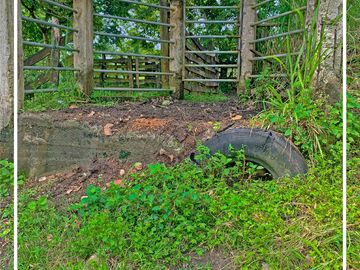 Se vende: Finca Agricola/Ganadera, Ubicada en TURRIAGA, del Cantón 