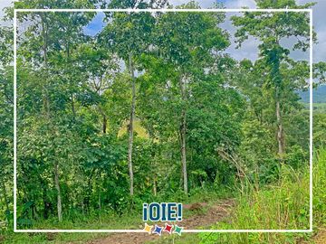 Se vende: Finca Agricola/Ganadera, Ubicada en TURRIAGA, del Cantón 