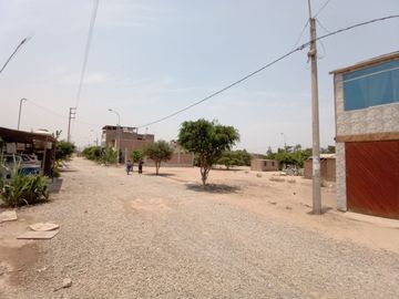 VENTA DE 3 TERRENOS JUNTOS EN CLARA LUISA PACHACAMAC