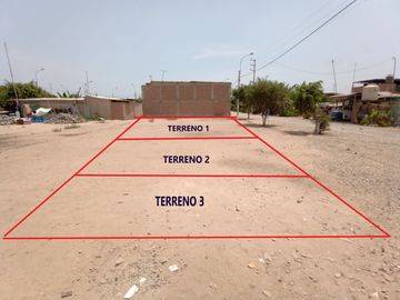 VENTA DE 3 TERRENOS JUNTOS EN CLARA LUISA PACHACAMAC