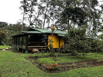 Venta Hacienda Ganadera Gualéa - Pacto en San Luis Alto Vía Calacalí 205 Hectáreas $1'100.000