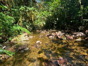 Venta Hacienda Ganadera Gualéa - Pacto en San Luis Alto Vía Calacalí 205 Hectáreas $1'100.000