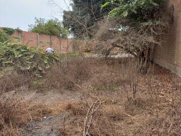 VENTA TERRENO EN CARABAYLLO