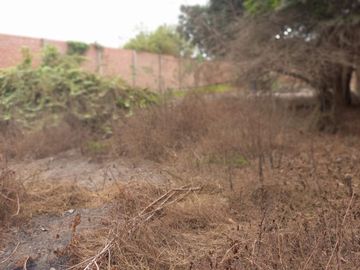 VENTA TERRENO EN CARABAYLLO
