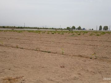 Venta Terreno cañete quilmana