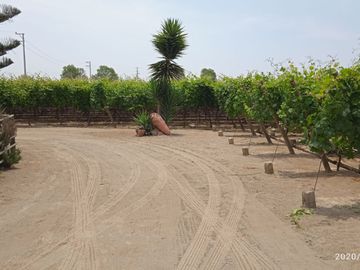 Venta Terreno cañete quilmana