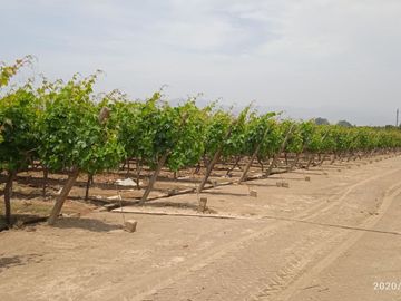 Venta Terreno cañete quilmana