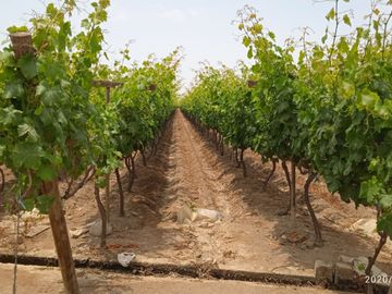 Venta Terreno cañete quilmana