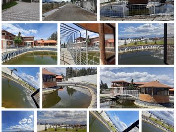Lotes de terreno a la venta en Malchingui.