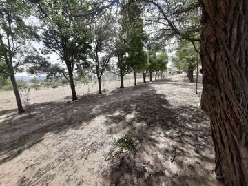 Lotes de terreno a la venta en Malchingui.