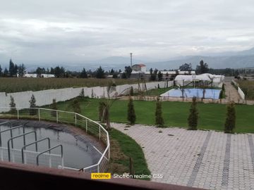 Lotes de terreno a la venta en Malchingui.
