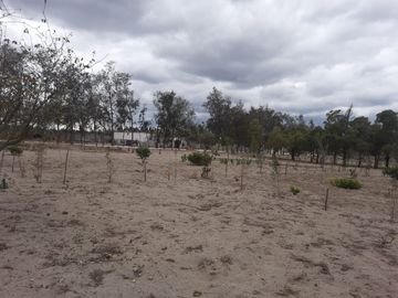 Lotes de terreno a la venta en Malchingui.