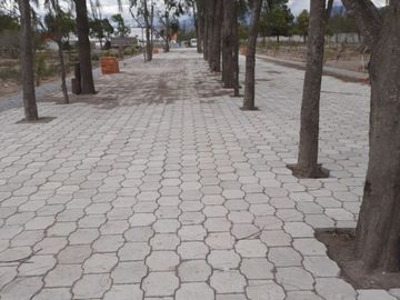 Lotes de terreno a la venta en Malchingui.