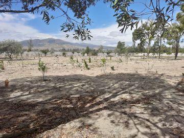 Lotes de terreno a la venta en Malchingui.
