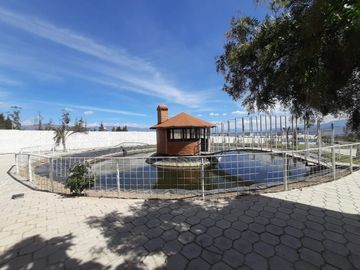 Lotes de terreno a la venta en Malchingui.