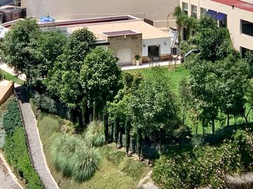 DEPARTAMENTO EN MAGNÍFICO DESARROLLO DE BOSQUES DE LAS LOMAS