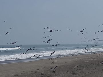 🌊 Condominio Oasis Del Mar: ¡Tu Paraíso Frente Al Mar Espera Por Ti! 🌊