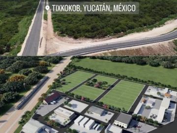 TERRENO RÚSTICO EN VENTA en TIXKOKOB de siete hectáreas.